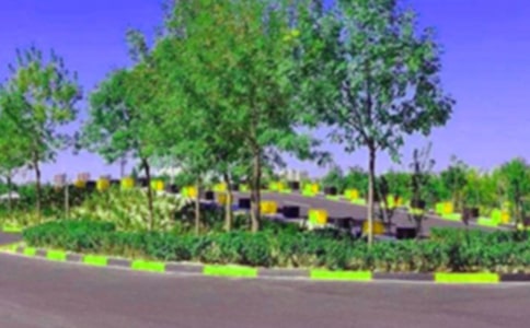 駕校色盲色弱的測試圖