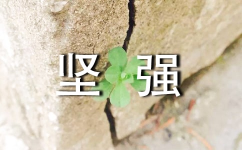 ���b�܈�(ji��n)��(qi��ng)���f(shu��)�f(shu��)��ȫ