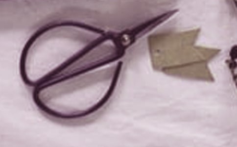 剪刀石頭布作文