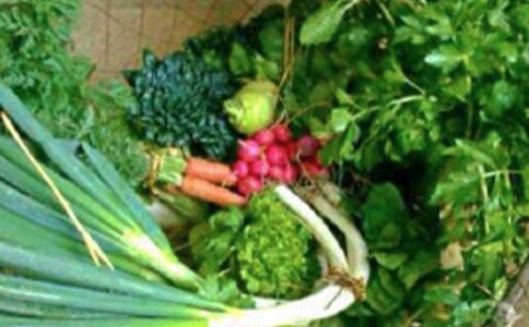 初中心理健康課教案