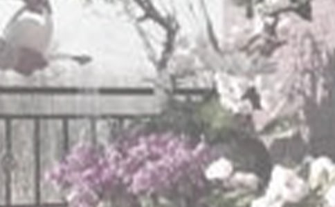 ��������350��