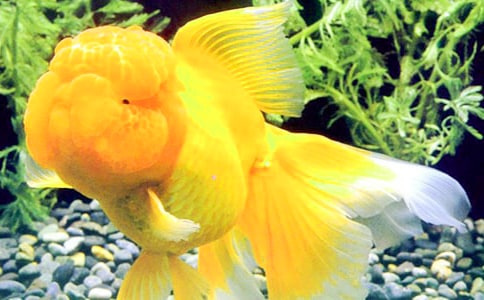 �Ҽҵ�С���~����