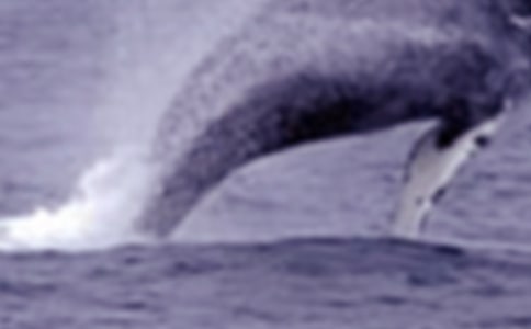 �P���L�~������