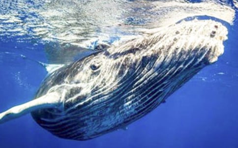 �����ϣ������L�~����