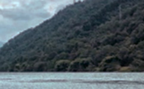 �п�����(hu��)���˾�ɫ�ă�(y��u)���f�fժ�290��