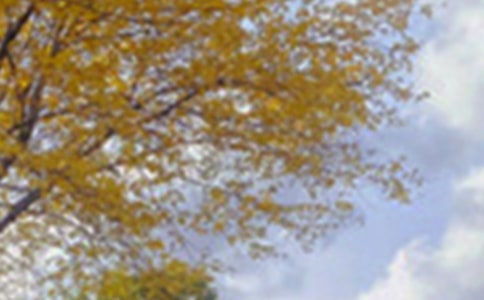 ��ɫ���f�f��ȫ