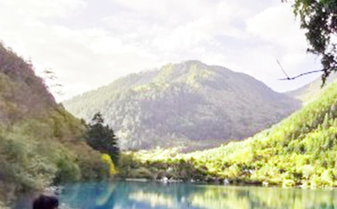 ����ľ�կ�����ģ����]��