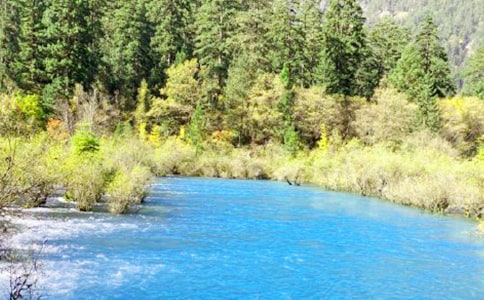 (熱)人間仙境九寨溝作文