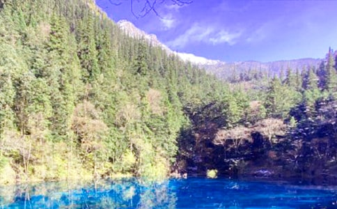 (熱門)美麗的九寨溝作文