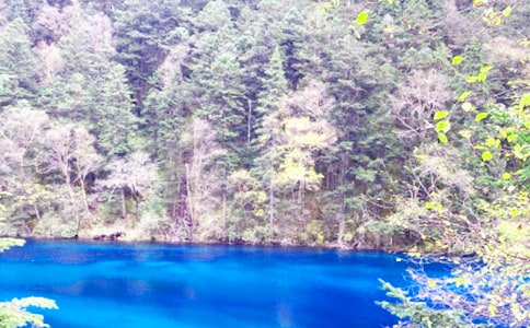 �����䡿��կ������