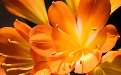 [����]�����m����