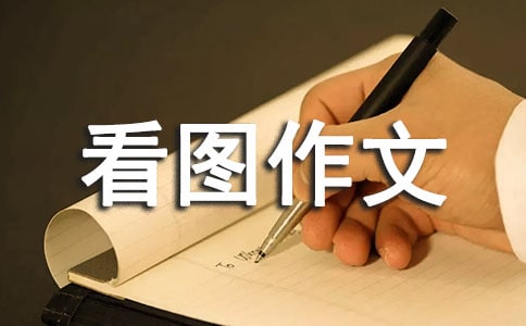 球賽看圖作文11篇