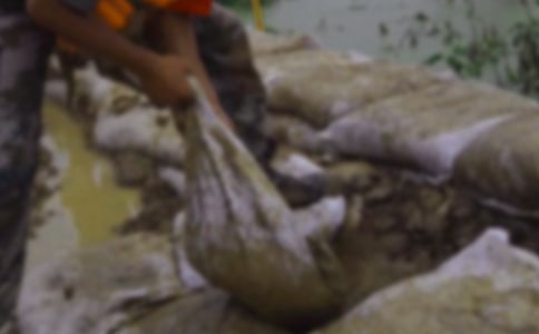 ����Ȟĸ��˹���