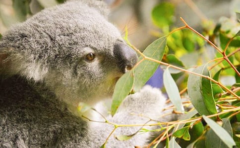 ���x����������300����ƪ