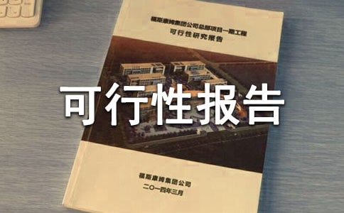 項目可行性報告范文