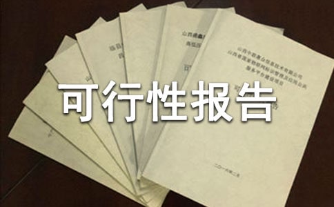 項目投資可行性報告