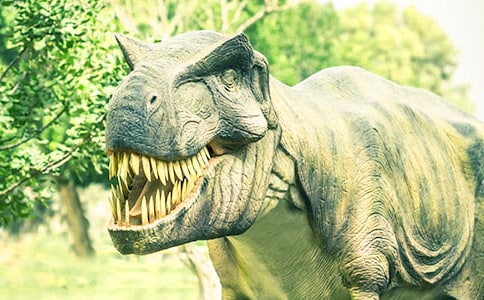 (優)恐龍谷作文15篇