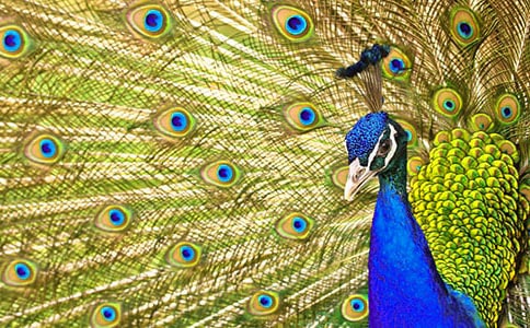 ���Ŀ�ȸ����[��Ʒ6ƪ]