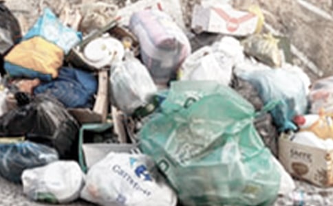 垃圾桶的自述作文