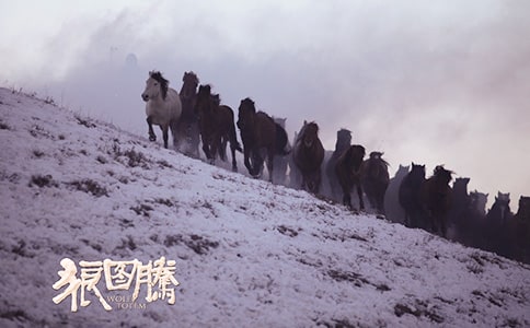 《狼圖騰》讀書筆記(精選15篇)