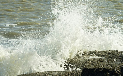 心海里的那朵浪花作文(推薦)