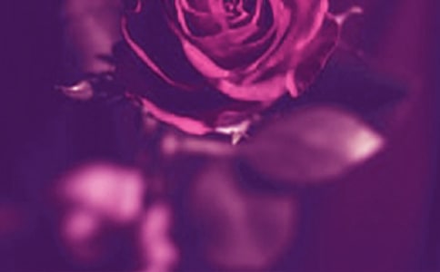 ������ܰ�����Ҹ���Ԓ����