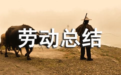 義務勞動總結(通用10篇)