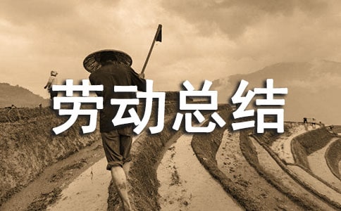 ��W(xu��)�ڄ�(d��ng)�n�ڄ�(d��ng)���Y(ji��)��ͨ��11ƪ��