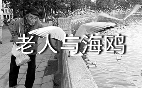 讀《老人與海鷗》有感