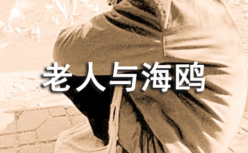 老人與海鷗讀書心得(精選30篇)