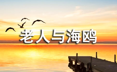 《老人與海鷗》課堂教學(xué)設(shè)計(2)