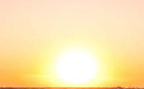 ���棺����