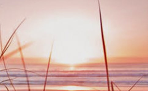 ӛ��������ӛ