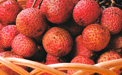 荔枝鄭谷意思賞析