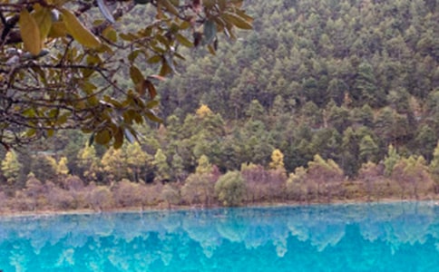 �������ų�����[�ϼ�]