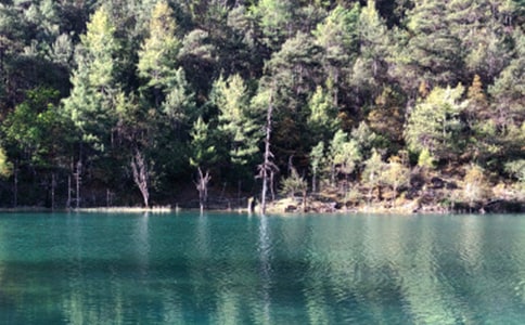 �������ų�����5ƪ[���A]