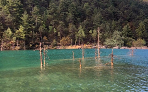 �������ų�����[��ȫ14ƪ]