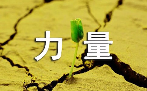 行動的力量作文(經典)