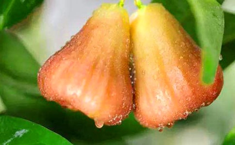 ��ɏ�F��ʲô��̎