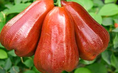 ɏ�F��ô����