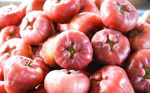 蓮霧的功效與作用及食用方法