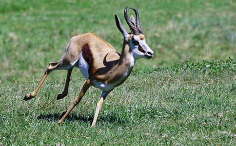 ����ľ��̌W(xu��)��˼3ƪ