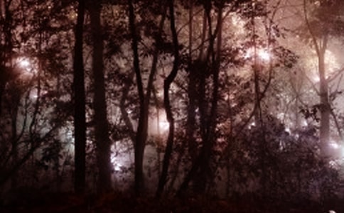 �m���賿���c(di��n)�l(f��)���f�f