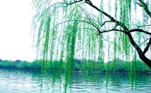 �茑�����Ԋ��165��