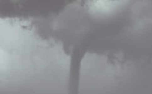 [����]�����L����