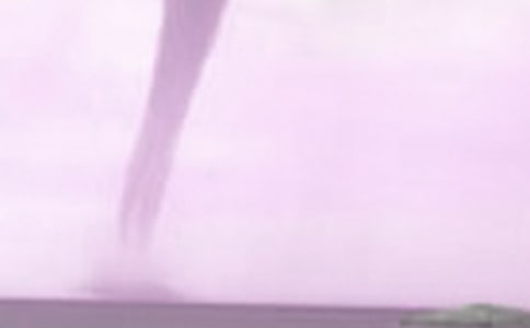 我一陣龍卷風的日記_750字