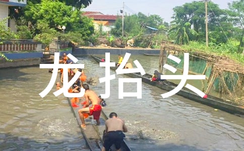 二月二龍?zhí)ь^節(jié)日及習(xí)俗