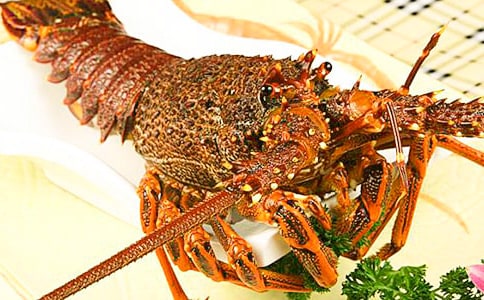 有關(guān)龍蝦的做法