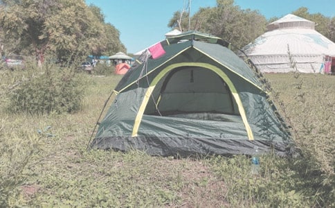 �P��¶�I������