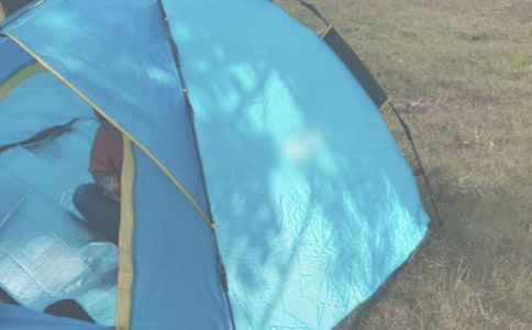 精選優(yōu)秀露營(yíng)作文4篇